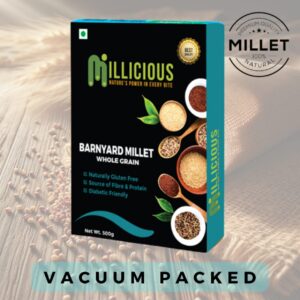 Barnyard Millet Grains-500g